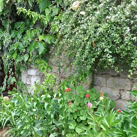 1 Bdr App With Sea View,pets Welcome,64 Rabac