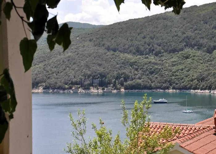 1 Bdr App With Sea View,pets Welcome,64 Apartment *