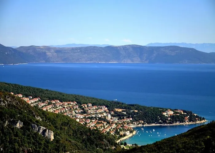1 Bdr App With Sea View,pets Welcome,64