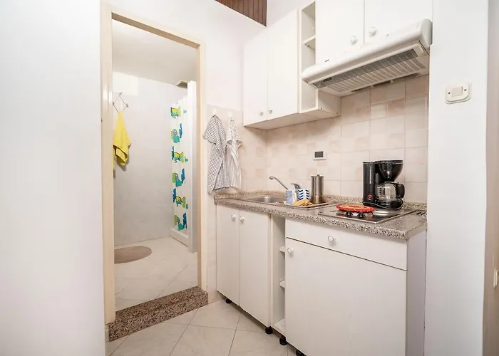 1 Bdr App With Sea View,pets Welcome,64 Appartamento Rabac