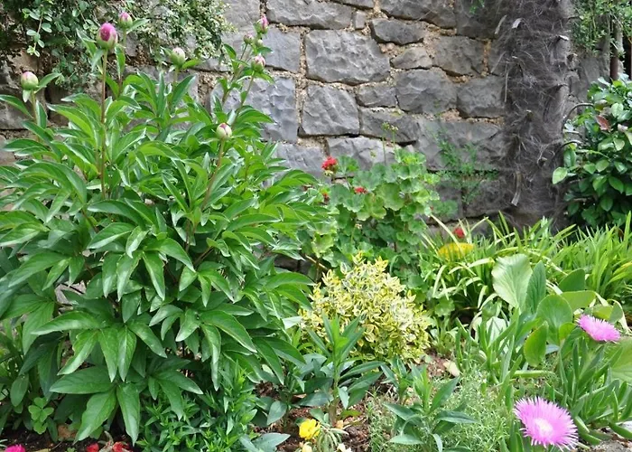 Appartamento 1 Bdr App With Sea View,pets Welcome,64 *