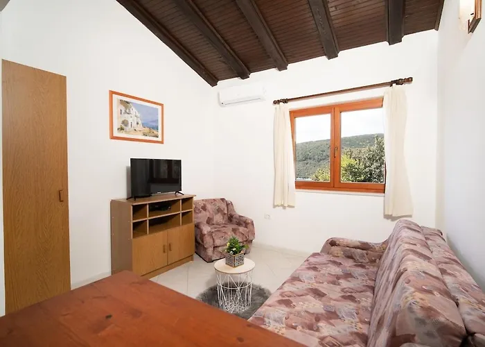 1 Bdr App With Sea View,pets Welcome,64 Apartment Rabac