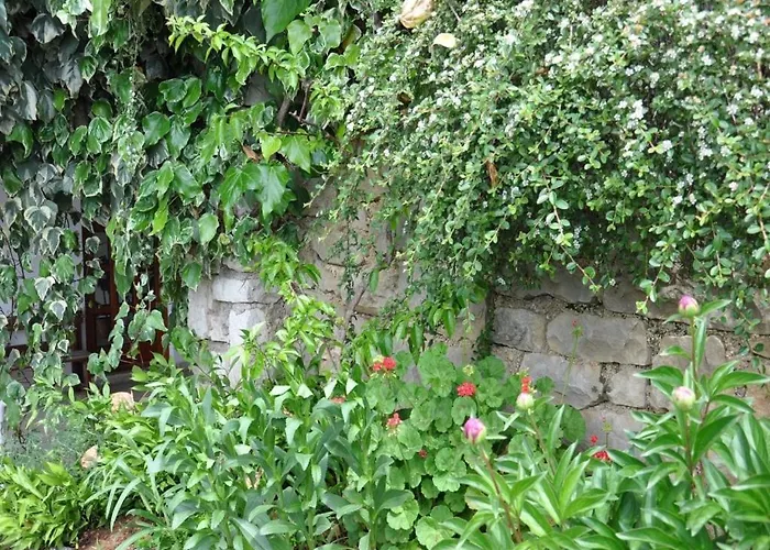 1 Bdr App With Sea View,pets Welcome,64 Rabac