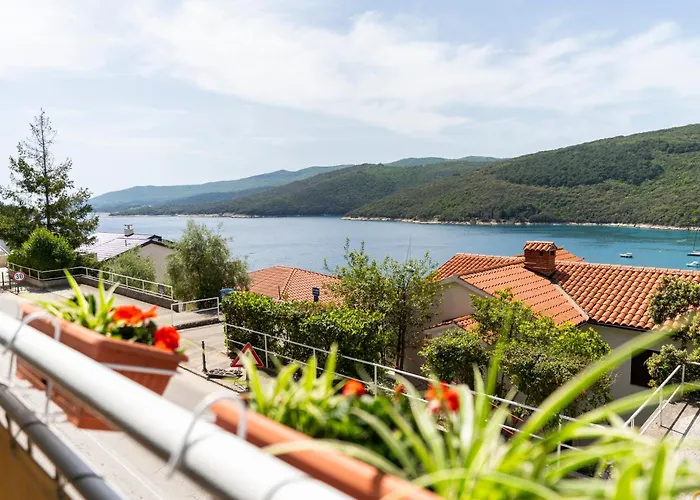 1 Bdr App With Sea View,pets Welcome,64 Rabac