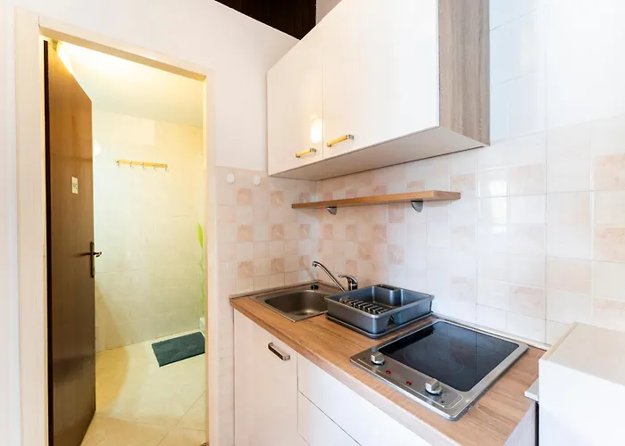 1 Bdr App With Sea View,pets Welcome,64 Appartamento *