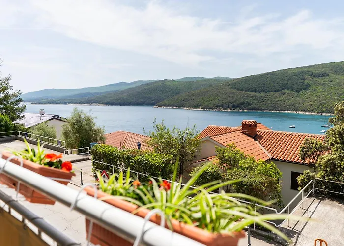 1 Bdr App With Sea View,pets Welcome,64 *